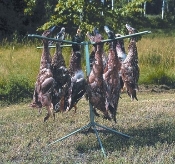 A rack of dead birds hanging on a pole.