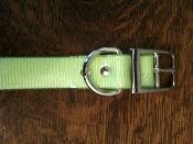 A close up of the buckle on a dog collar