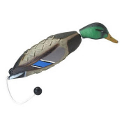 A duck with a green head and blue eyes.