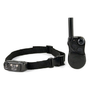 A black collar and remote are next to each other.