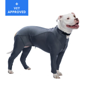 A dog wearing a wetsuit with vet approved sign.