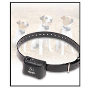 A dog collar with a remote control attached to it.