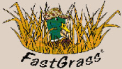 FAST GRASS