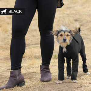 A woman in black pants and boots with a dog.