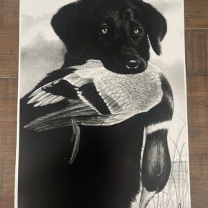 A black dog holding a duck in its mouth.