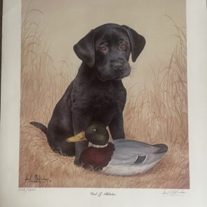 A black dog sitting next to a duck.