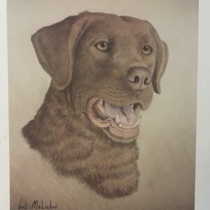 A drawing of a dog with brown fur