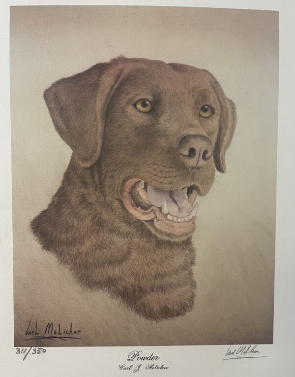 A drawing of a dog with brown fur