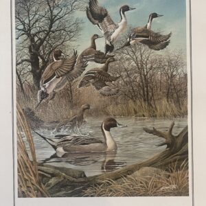 A painting of ducks flying over water.