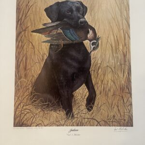 A black dog holding a duck in its mouth.