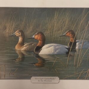 A painting of three ducks swimming in the water.